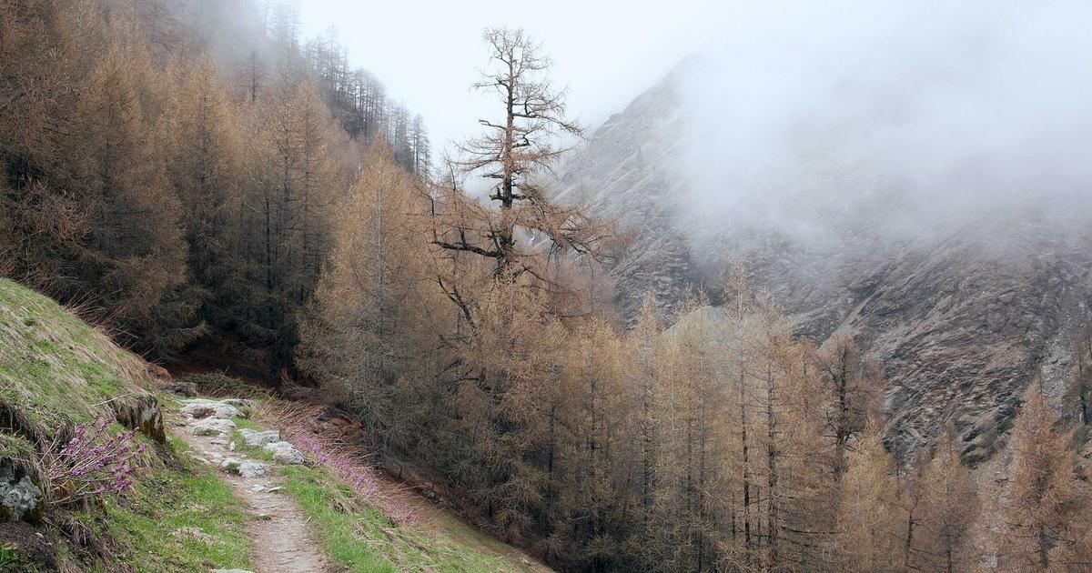 指纹浏览器是什么？为什么要用指纹浏览器？用户必看！