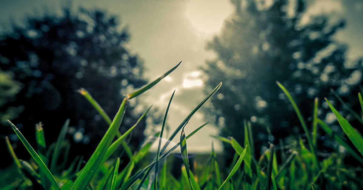 指纹浏览器到底怎么选？2026年跨境多账号运营的“避坑”指南